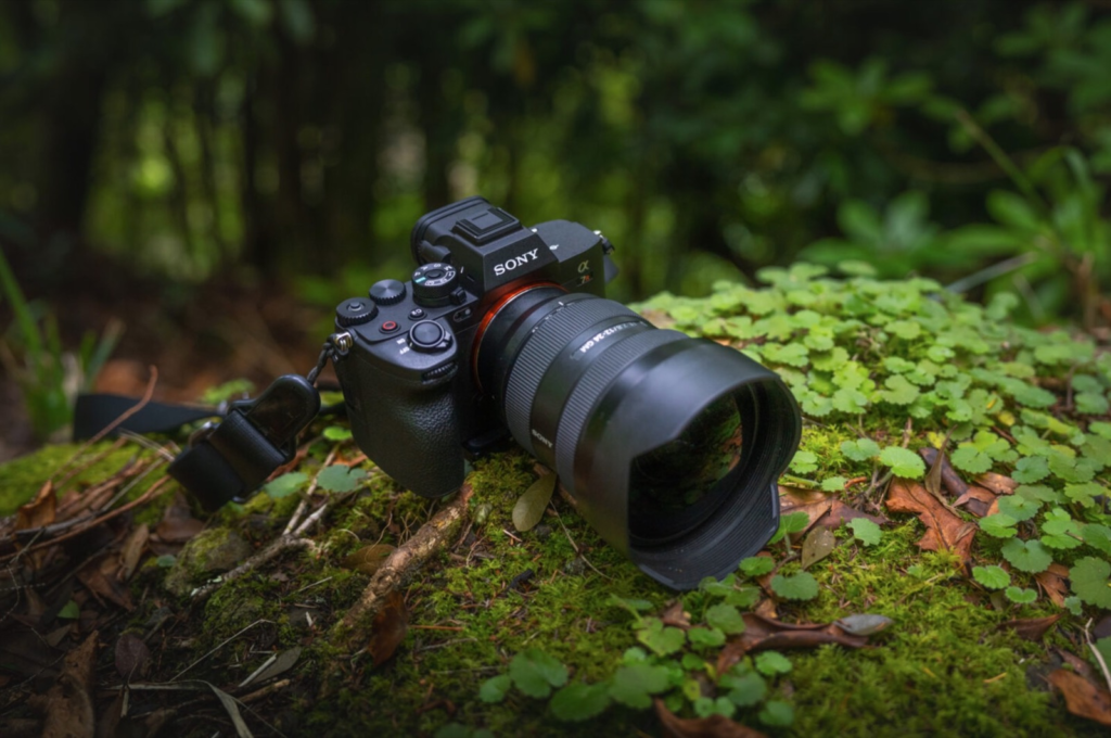 Sony Alpha 7R V : Yapay zekâ destekli, 61 Megapiksel, 8K video